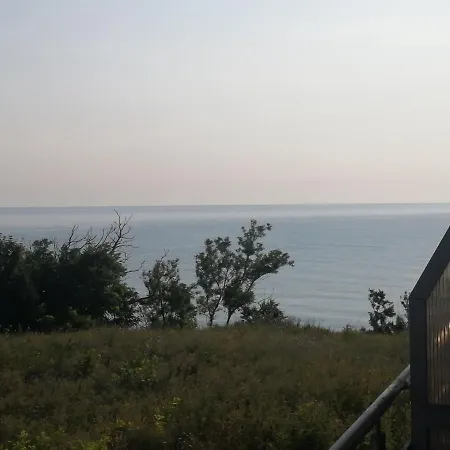 Daire Delamar On The Beach Apart With See View *